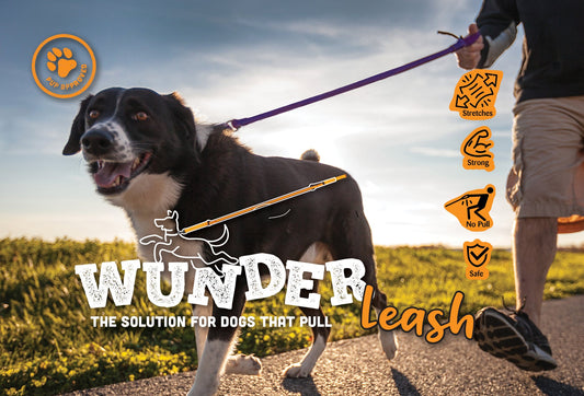 WUNDERleash — The Everyday No-Pull Leash