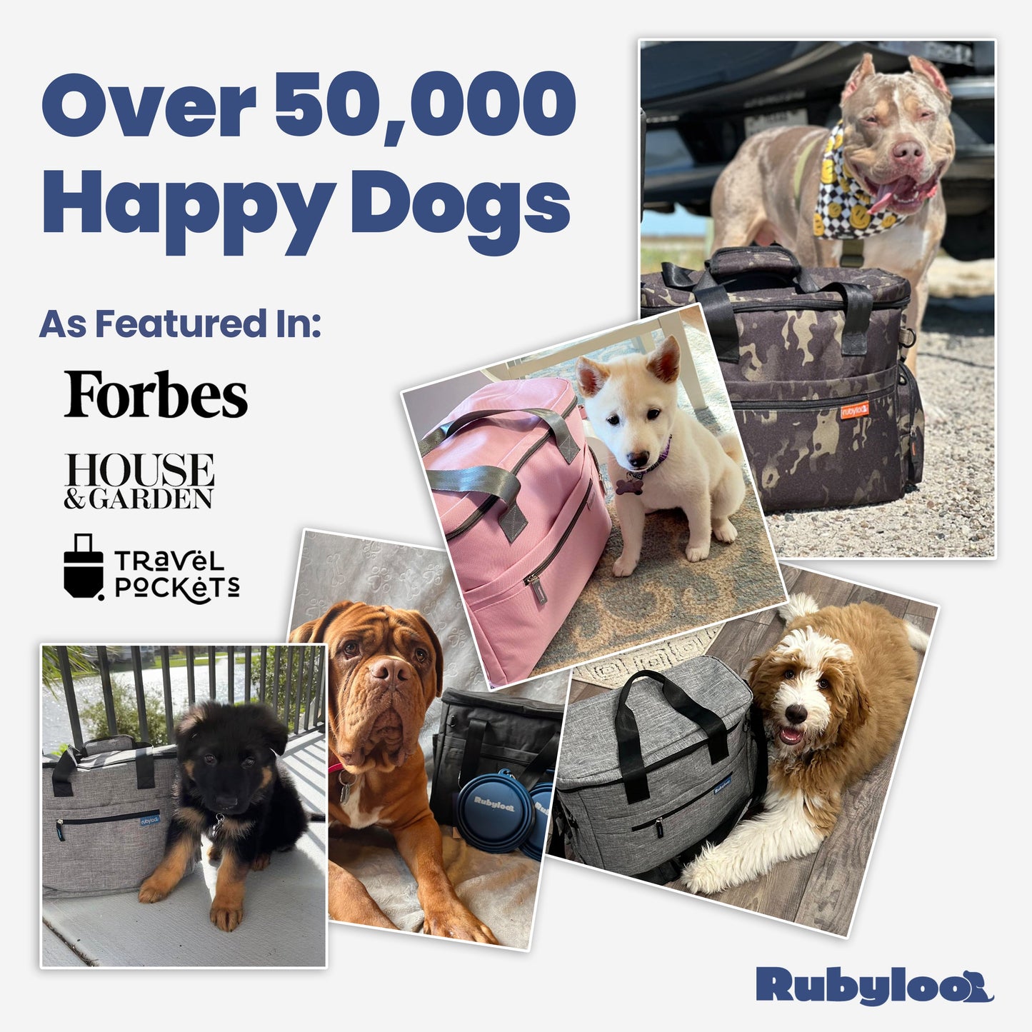 The Original Doggy Bag™