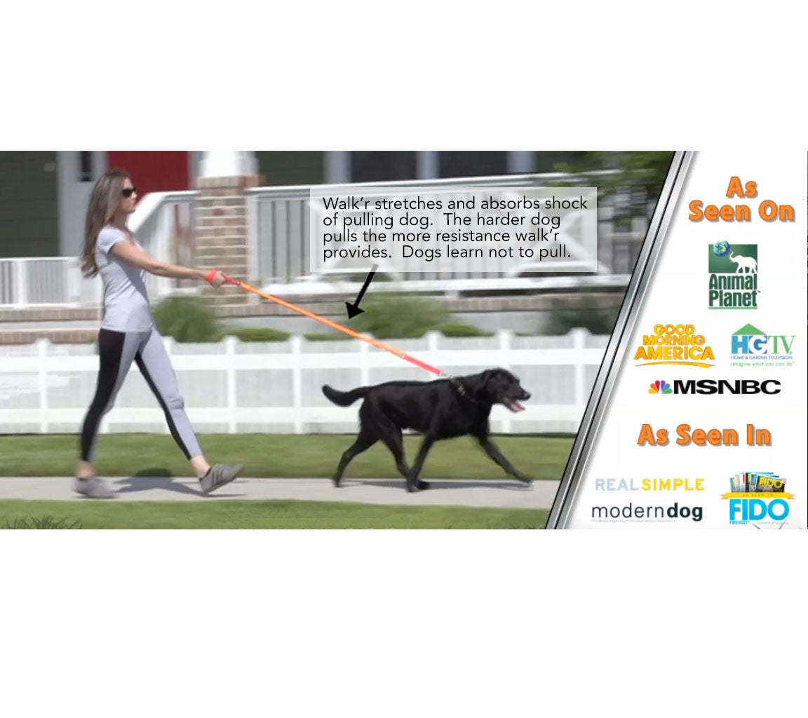 WUNDERleash — The Everyday No-Pull Leash