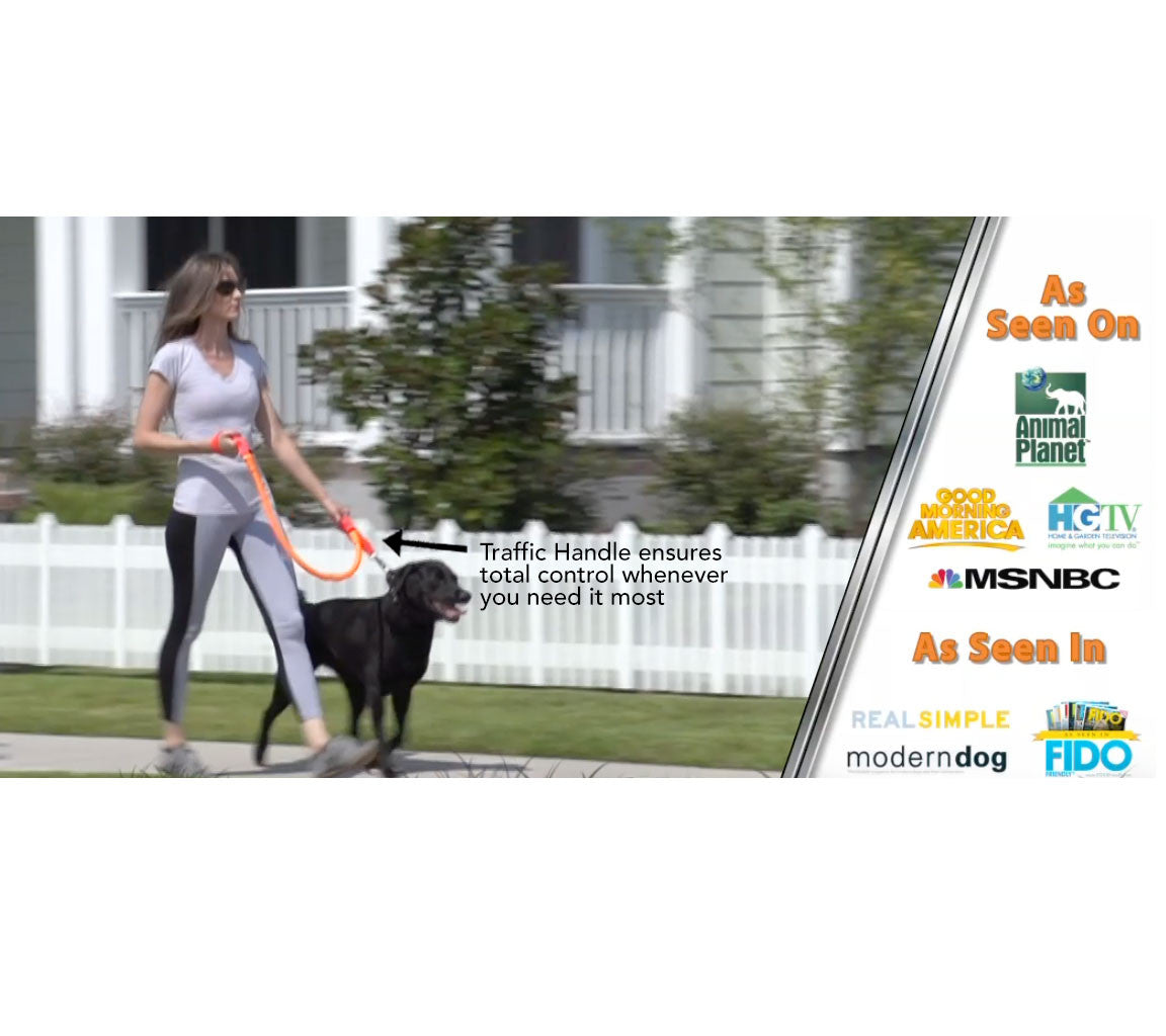 WUNDERleash — The Everyday No-Pull Leash